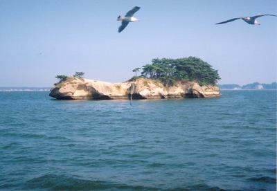 일본연수